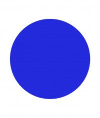 Disque bleu pour Pic'Jalonnette FENO 1124-047