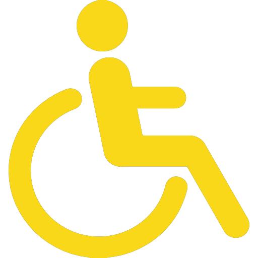 icon handicap